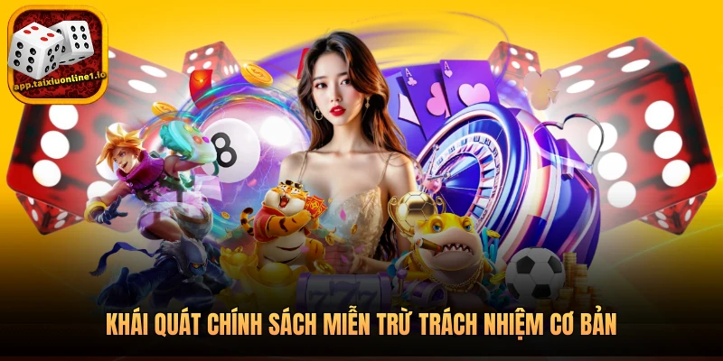 Miễn Trừ Trách Nhiệm 1 Khái quát chính sách miễn trừ trách nhiệm cơ bản