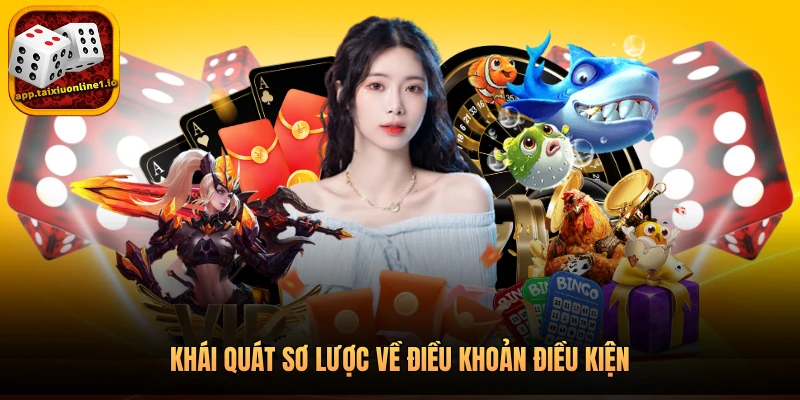 Khái quát sơ lược về điều khoản điều kiện