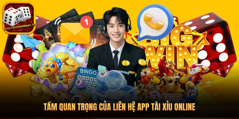 Tầm quan trọng của liên hệ app tài xỉu online